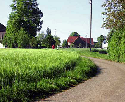 Umgebung der Ferienwohnung Am Freifhof